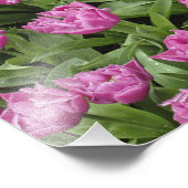 チューリップのガーデンパターン、ケウケンホフ庭園。 フォトプリント            (角)