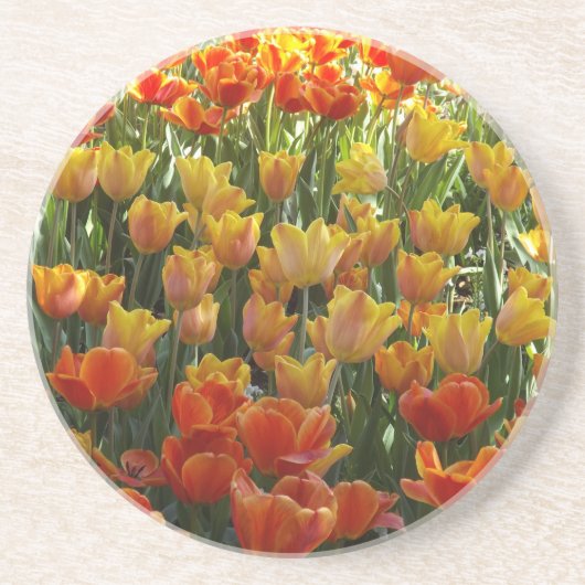 チューリップのコースター コースター (正面)