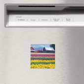 チューリップのディスプレイフィールド マグネット (インサイチュ (食洗機))
