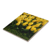 チューリップのフェスティバル- 27タイル タイル (側面)