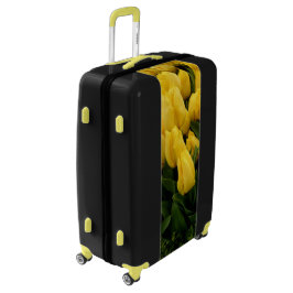 チューリップのフェスティバル- 27荷物