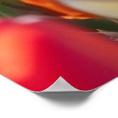 チューリップのフルフィールド開花 ポスター (角)