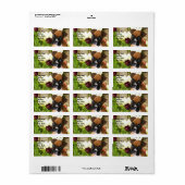 チューリップのボクサー人形住所 シール (フルシート)