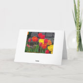 チューリップのライト カード (裏面)