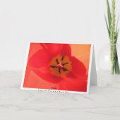 チューリップの内側 カード (裏面)