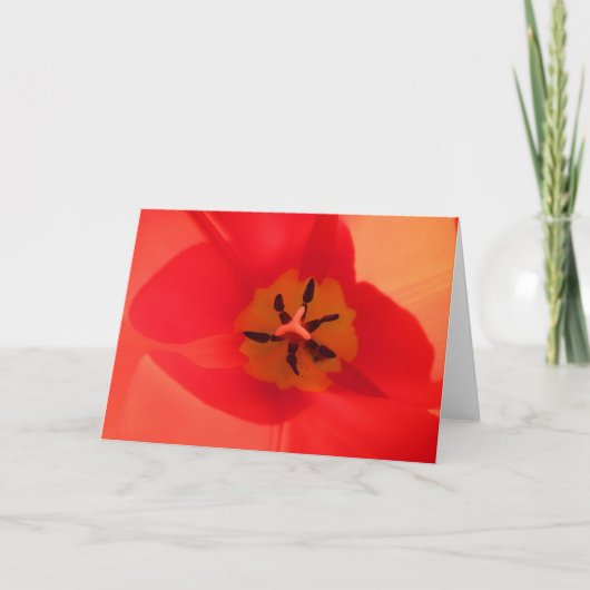 チューリップの内側 カード (正面)