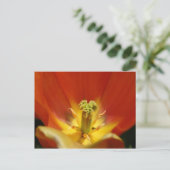 チューリップの内側 ポストカード (スタンド正面)