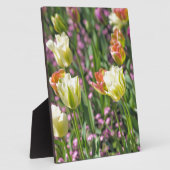 チューリップの分野 フォトプラーク (側面)