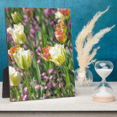 チューリップの分野 フォトプラーク (側面)