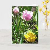 チューリップの挨拶状 カード (黄色い花)