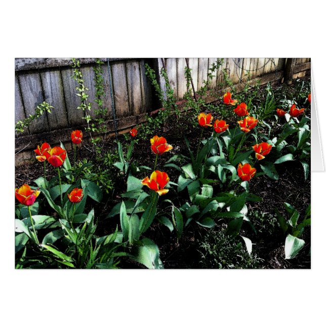 チューリップの水彩画 (正面横)