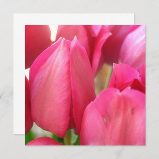 チューリップの球根の招待状 招待状 (正面/裏面)