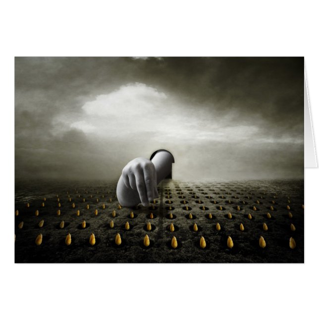 チューリップの盗人2013年 (正面横)