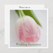 チューリップの結婚式招待状 招待状 (正面/裏面)