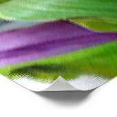 チューリップの色 ポスター (角)