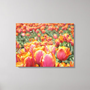 チューリップの花のキャンバスアートプリント キャンバスプリント
