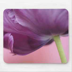 チューリップの花の裏側のクローズアップ キュッケンホフ マウスパッド