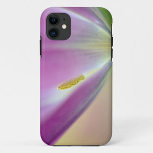 チューリップの花の裏側のクローズアップ キューケンホフ3 iPhone 11 ケース