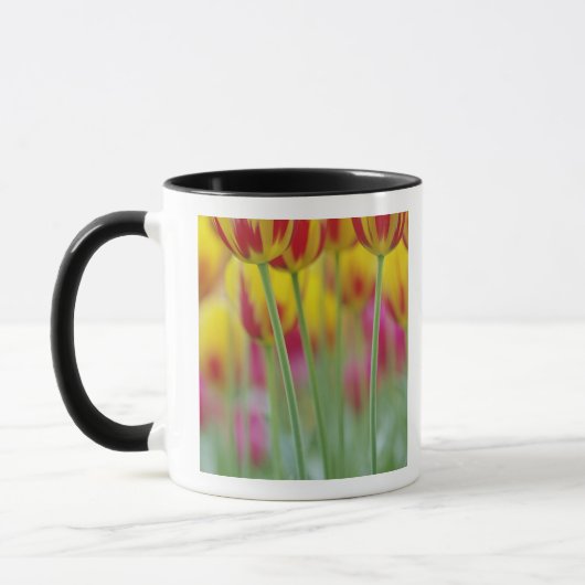 チューリップの花の裏側のクローズアップ 3 マグカップ (左)