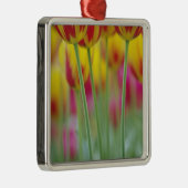 チューリップの花の裏側のクローズアップ 3 メタルオーナメント (右)