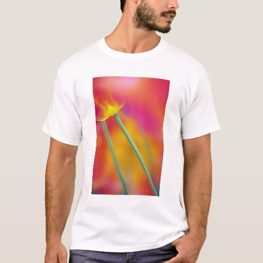 チューリップの花の裏側のクローズアップ Tシャツ (正面)