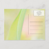 チューリップの花は日付カードを保存空白のする 案内ポストカード (裏面)