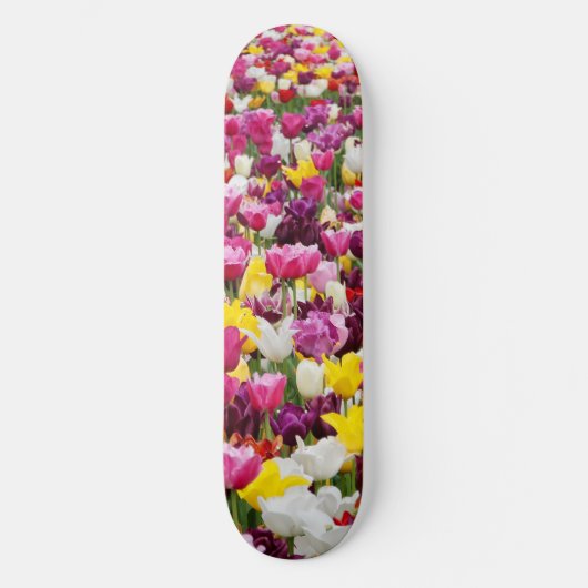 チューリップの花畑 スケートボード (正面)
