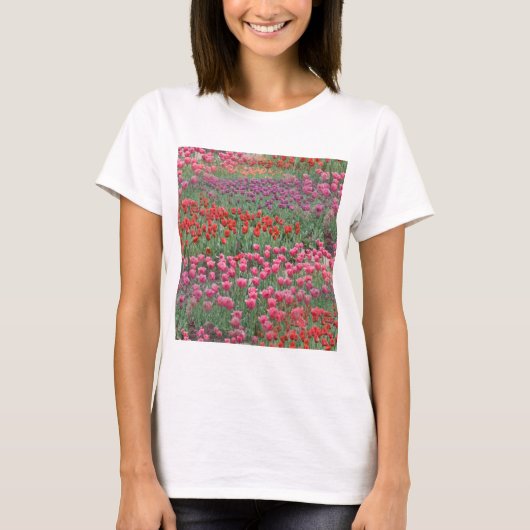 チューリップの花畑 Tシャツ (正面)
