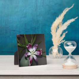 チューリップの花 フォトプラーク