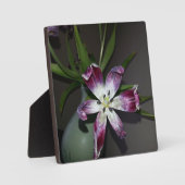 チューリップの花 フォトプラーク (正面)