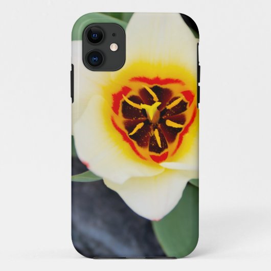 チューリップの花 Case-Mate iPhoneケース (裏面)