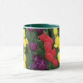 チューリップの虹 マグカップ (中央)