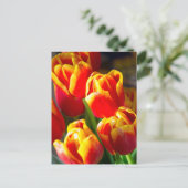 チューリップの郵便はがき ポストカード (スタンド正面)