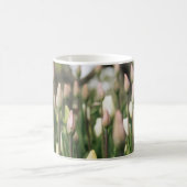 チューリップの開花開始 コーヒーマグカップ (中央)