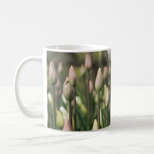 チューリップの開花開始 コーヒーマグカップ (左)