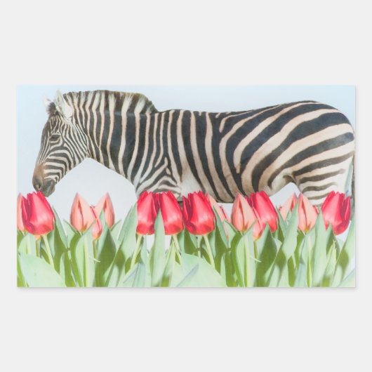 チューリップの間のゼブラ 長方形シール (正面)