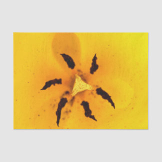 チューリップの雄しべと花粉 薄葉紙