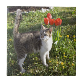 チューリップを持つ猫 タイル