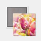 チューリップを閉じる マグネット (正面/裏面)