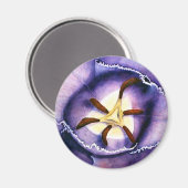 チューリップインテリア磁石 マグネット (正面/裏面)