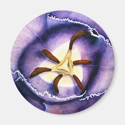 チューリップインテリア磁石 マグネット (正面)