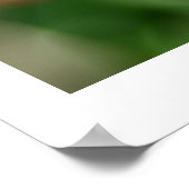 チューリップイン春 ポスター (角)