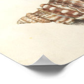 チューリップウィズシェルボタニカルイラストレーション ポスター (角)