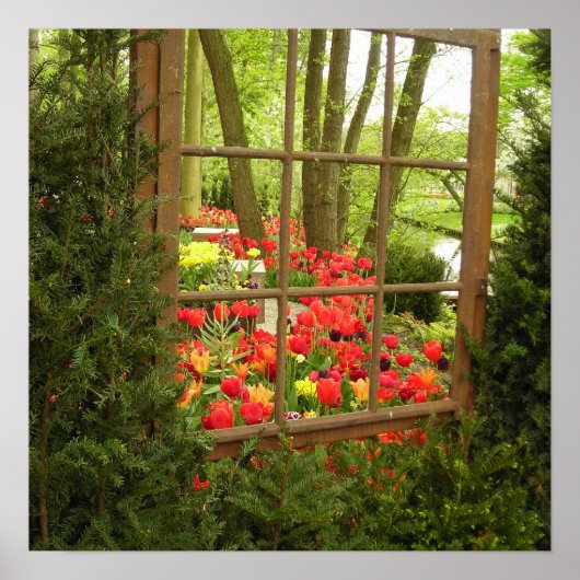 チューリップウィンドウプリント ポスター (正面)