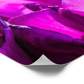 チューリップエンチャントパープル ポスター (角)