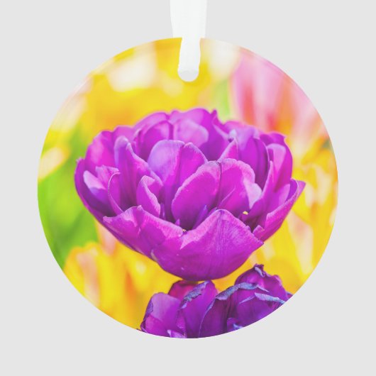 チューリップエンチャント15 オーナメント (裏面)