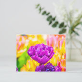 チューリップエンチャント15 ポストカード (スタンド正面)