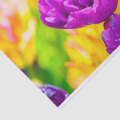 チューリップエンチャント15 薄葉紙 (詳細)