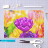 チューリップエンチャント15 薄葉紙 (クラフト)