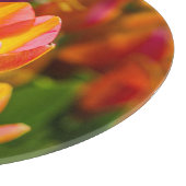 チューリップエンチャント16 カッティングボード (角)